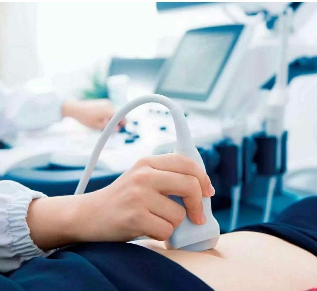 Пантелеева Татьяна Николаевна